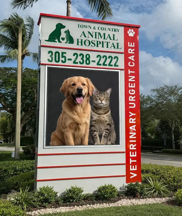 Programmable LED Signs Miami